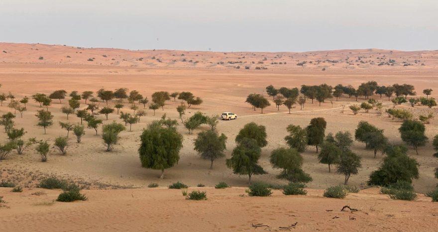 Rinnovabili • Agricultural production in Saudi Arabia