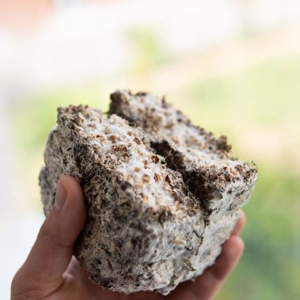 Rinnovabili • Recycled construction waste for smart shelters