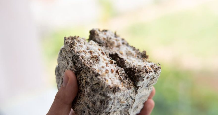 Rinnovabili • Recycled construction waste for smart shelters