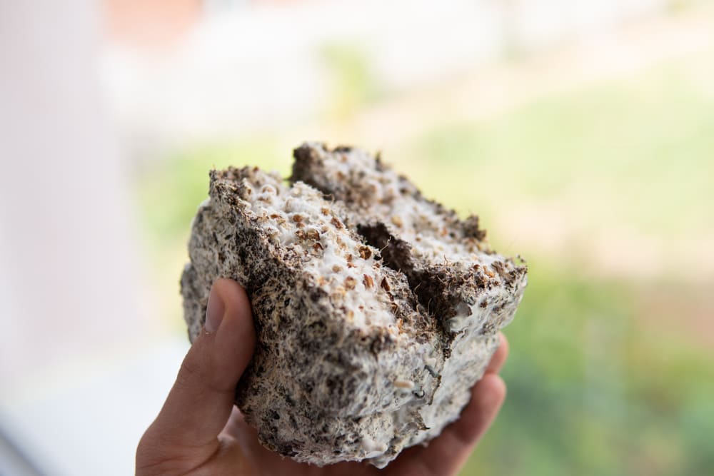 Rinnovabili • Recycled construction waste for smart shelters