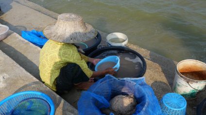 Rinnovabili • Myanmar rare earths fuel conflict and pollution