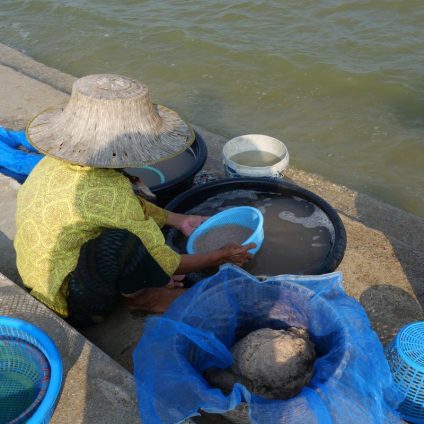 Rinnovabili • Myanmar rare earths fuel conflict and pollution