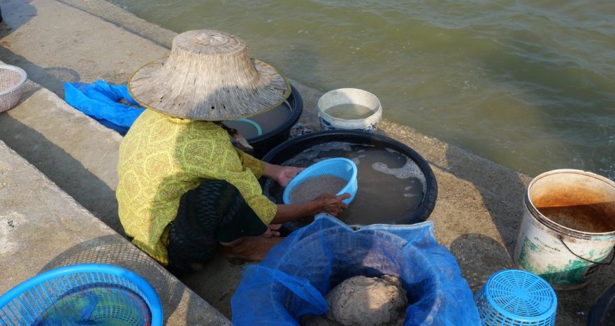 Rinnovabili • Myanmar rare earths fuel conflict and pollution