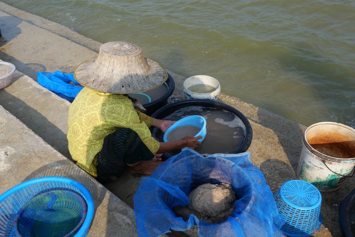 Myanmar rare earths fuel conflict and pollution
